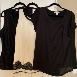 White House Black Market Bundle